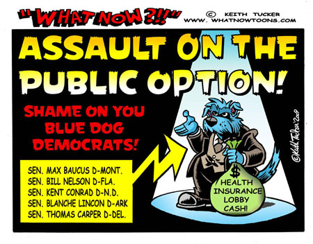 Blue Dog Assault on the Public Option! SHAME ON YOU! `Democratic` Senators vote for their pockets, not their public