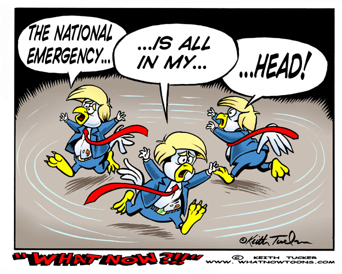 chicken little trump, national emergency, fake national emergency, trump 2019, border wall, constitutional crisis, trump power grab, trump immigration, delusional trump, political cartoons, 2019 trump cartoons