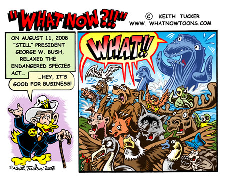 Endangered Species - ''relaxing'' or taking a beating? Endangered Species - `relaxing` or taking a beating?