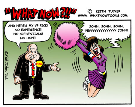 Grasping at straws - McCain's V.P. pick... Grasping at straws - McCain`s V.P. pick...
