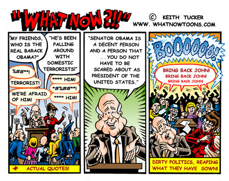 The McCain backlash - reaping what they sow! The McCain backlash - reaping what they sow!